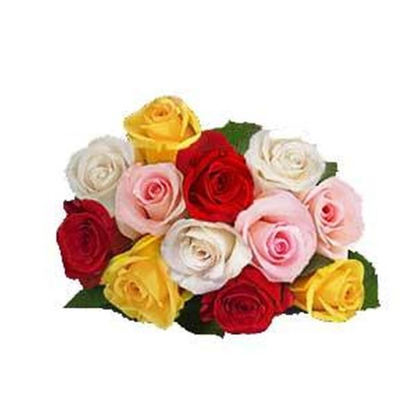Bunch of Assorted Roses