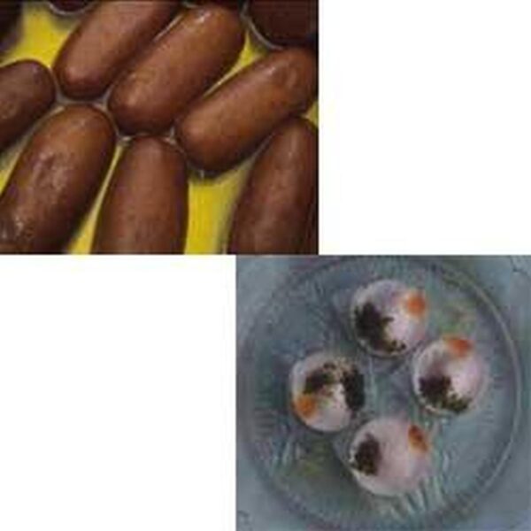 Combo Pack 009
