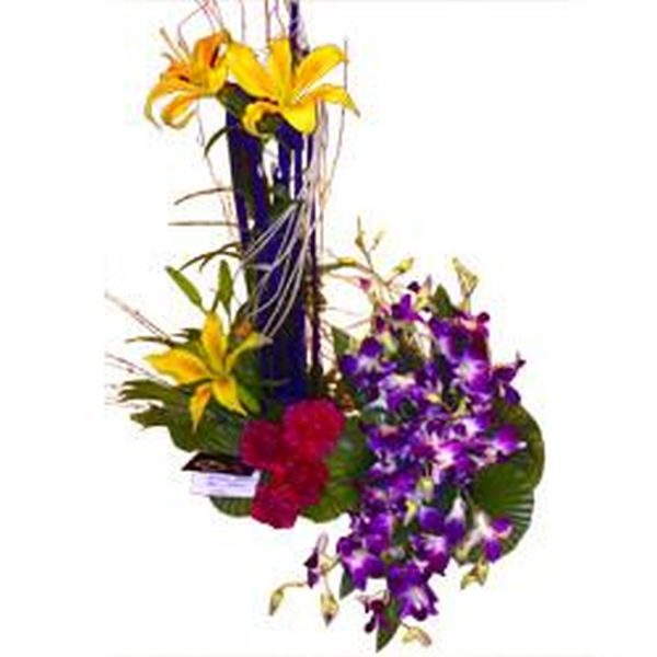 Orchids and Lilies