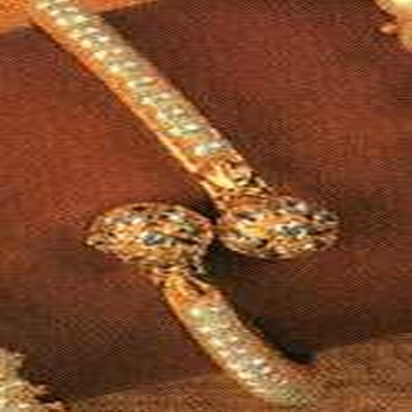 Bangle V