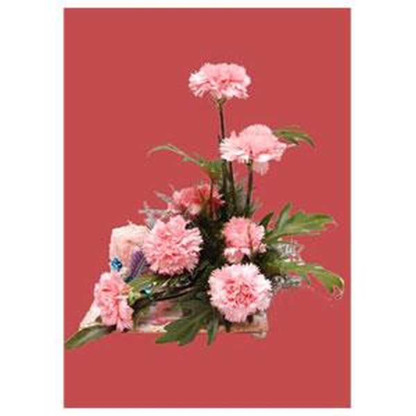 Pink Carnation with Candle