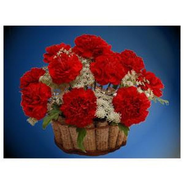 Red Carnation in a basket