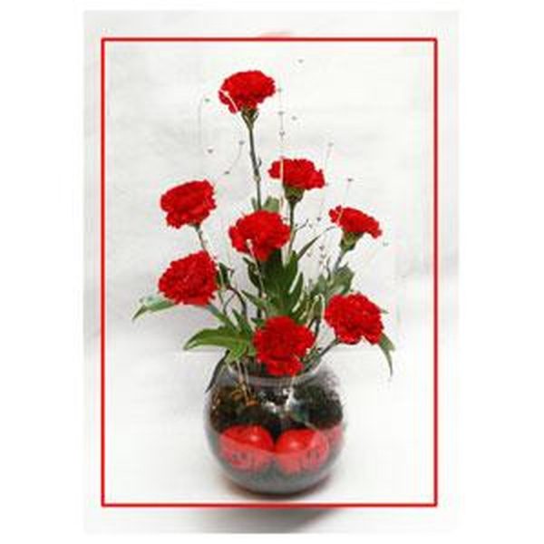 Red Carnation In a Vase