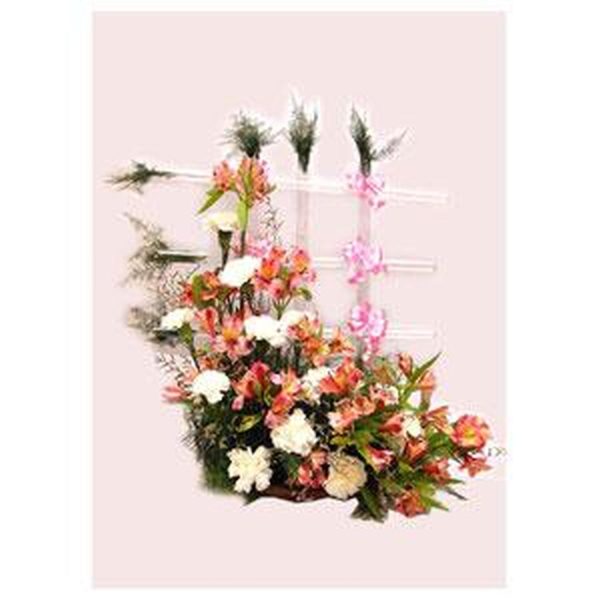 white carnation with astomeria