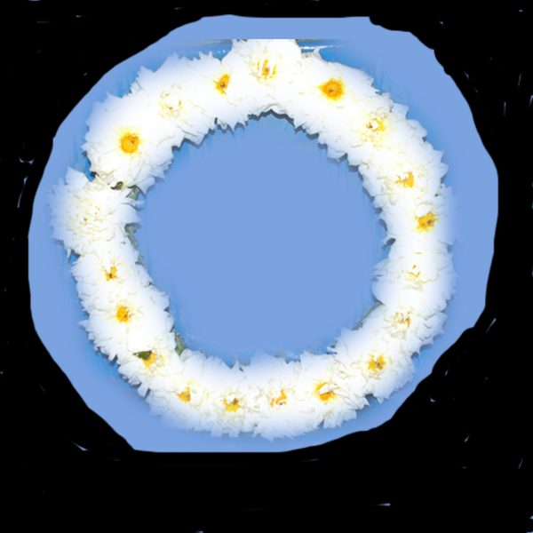 Wreath of Respect